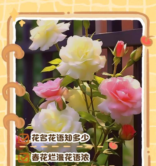 蓝色妖姬的花语与象征（揭秘蓝色妖姬花语，解读其象征意义）