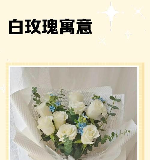白玫瑰花语与适合的赠送对象（白玫瑰的花语及赠送对象选择）