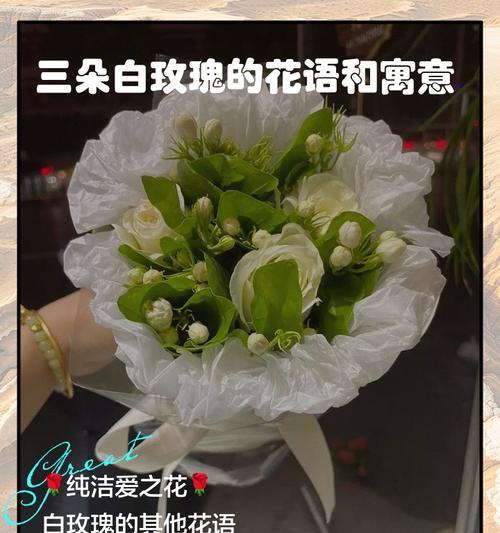 白玫瑰花语与适合的赠送对象（白玫瑰的花语及赠送对象选择）