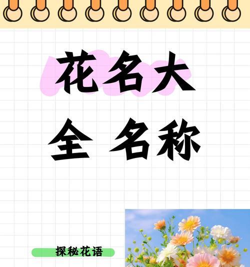 荼蘼花语与象征的深意（揭秘荼蘼花语，传递爱的坚守）