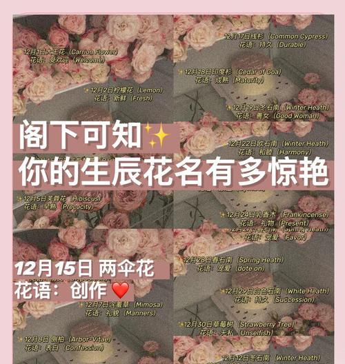 蝴蝶兰的传说与花语（探寻蝴蝶兰的神秘之美）