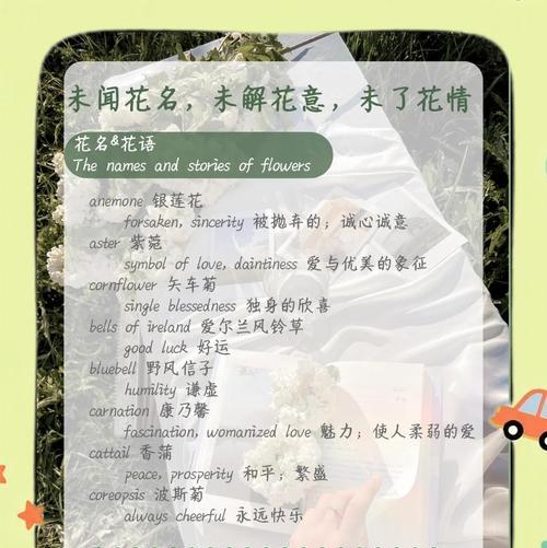 蝴蝶兰的传说与花语（探寻蝴蝶兰的神秘之美）