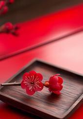 梅花（梅花盛放，祝福无限）