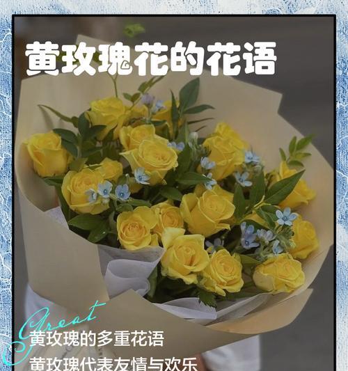 哪种黄色花寓意最美？黄色花的象征意义是什么？