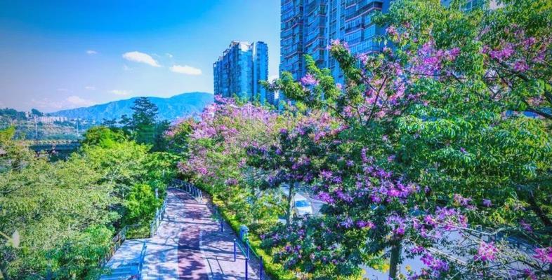攀枝花创建健康城市的意义是什么？它代表了什么？