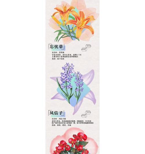 浪漫花语特效1000是什么？如何使用？