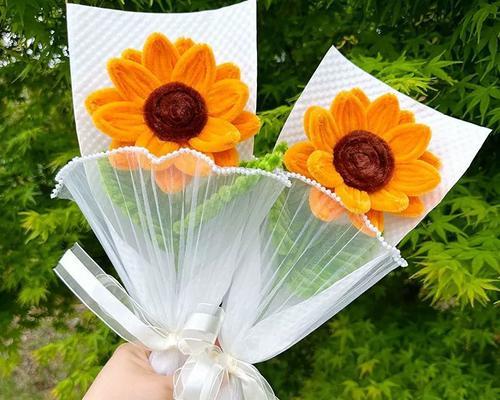 向阳花的寓意是什么？向阳花吉祥物设计有哪些特点？