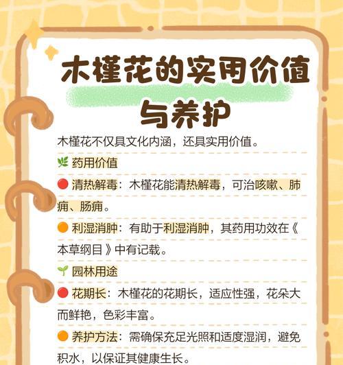 木槿花三个颜色的寓意是什么？不同颜色木槿花的象征？