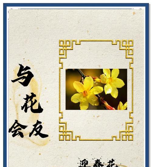 金黄色的花象征什么？金黄色花的寓意是什么？