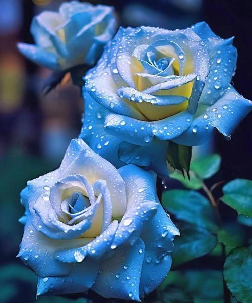 蓝色花花语活泼是什么意思？