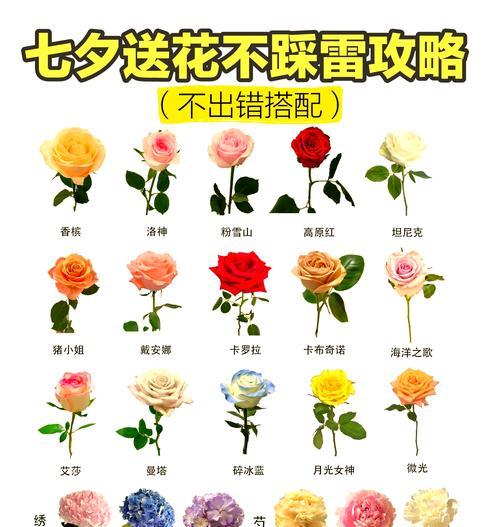 七夕节送花有什么特别寓意？如何选择七夕节的花卉礼物？