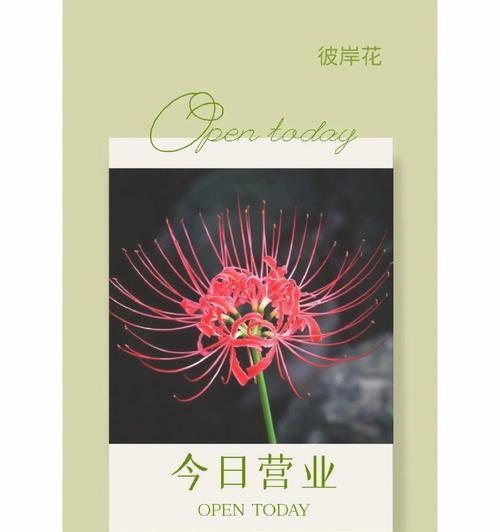 彼岸花不同颜色的象征意义是什么？