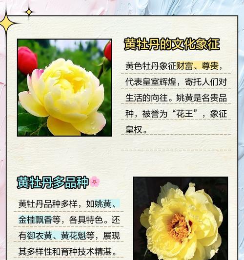 黄色牡丹花吊坠有何特别含义？如何挑选寓意吉祥的款式？