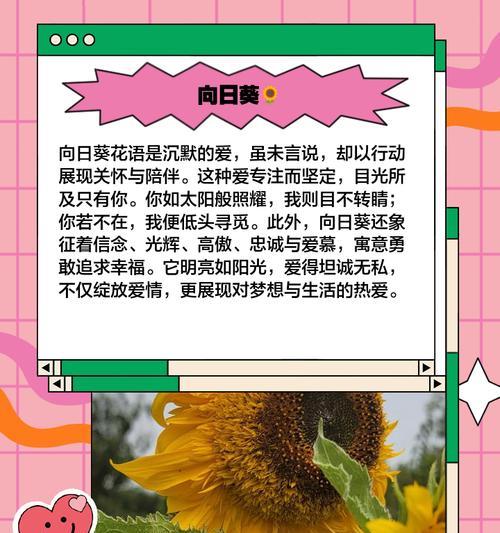 哪种花象征着爱情和团结？花语中有哪些温馨的寓意？