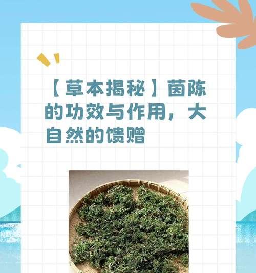 花茵在文化中象征什么？