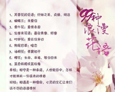 哪种花的寓意最浪漫？浪漫花语的花有哪些？