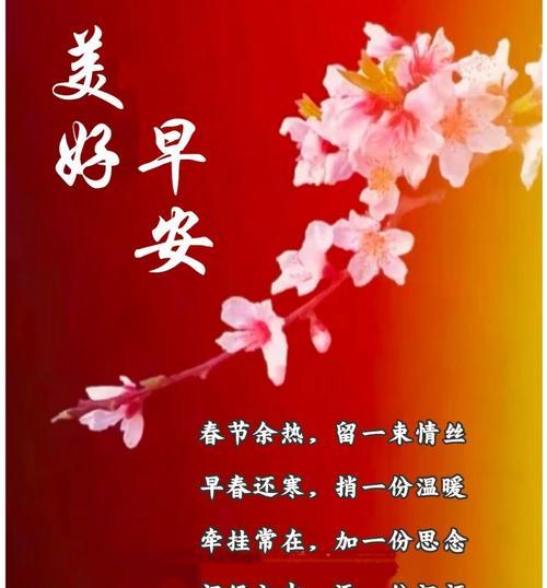 哪些花寓意对老人的美好祝福？