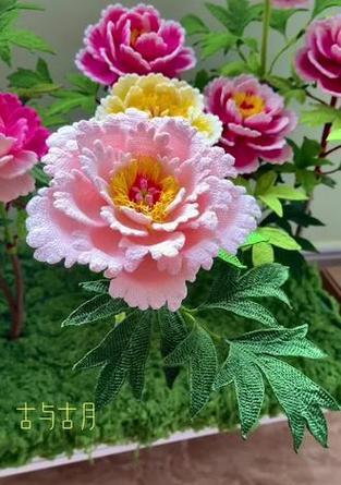 钩织花中富贵的象征是什么？如何通过钩织表达富贵的寓意？