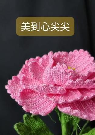 钩织花中富贵的象征是什么？如何通过钩织表达富贵的寓意？