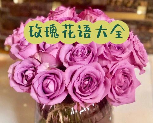 情人节花语如何保存？保存花语的正确方法是什么？