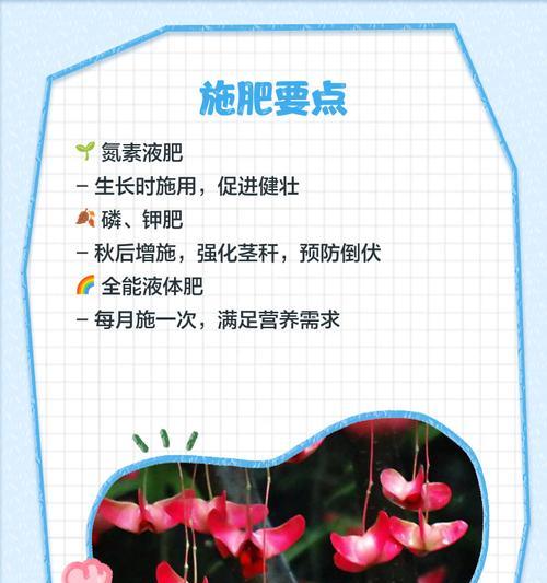 水培如意花有什么特别的含义？
