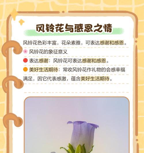 黄色风铃花的花语是什么？它们象征着什么？