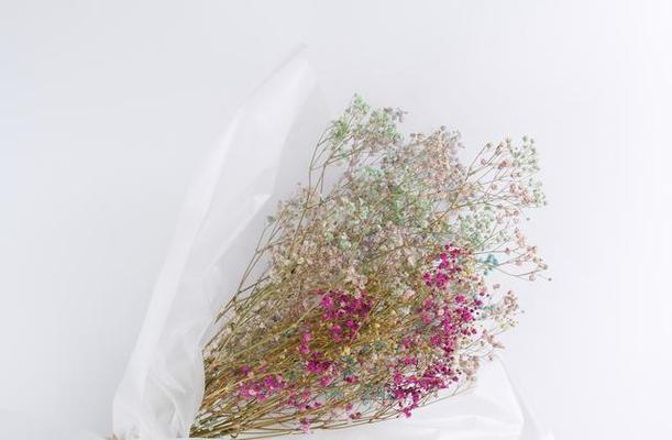 满天星花的多彩寓意是什么？