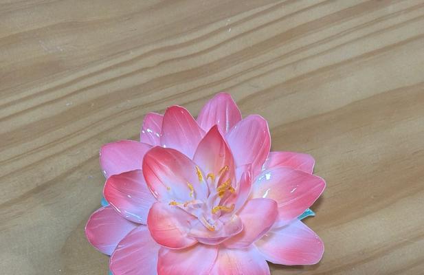 粉色昙花的花语是什么？粉色昙花的寓意有哪些？