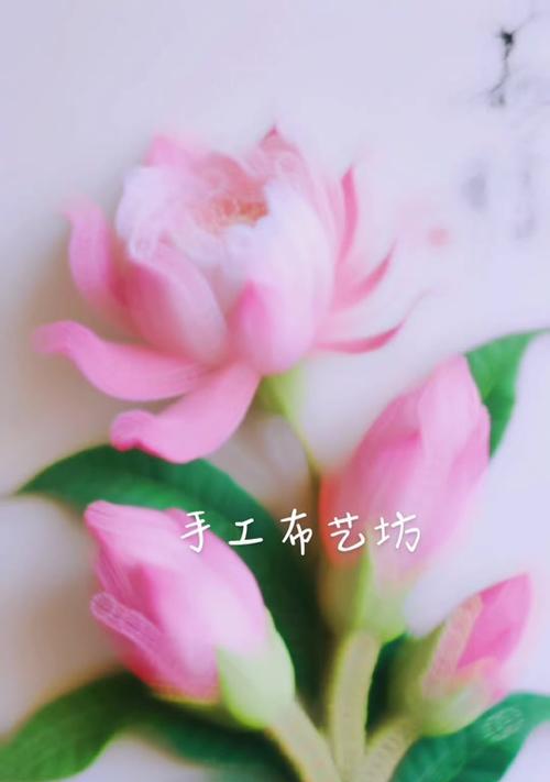 粉色昙花的花语是什么？粉色昙花的寓意有哪些？