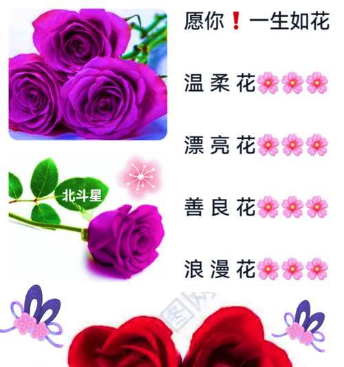 送四朵花的含义是什么？四朵花代表什么祝福？