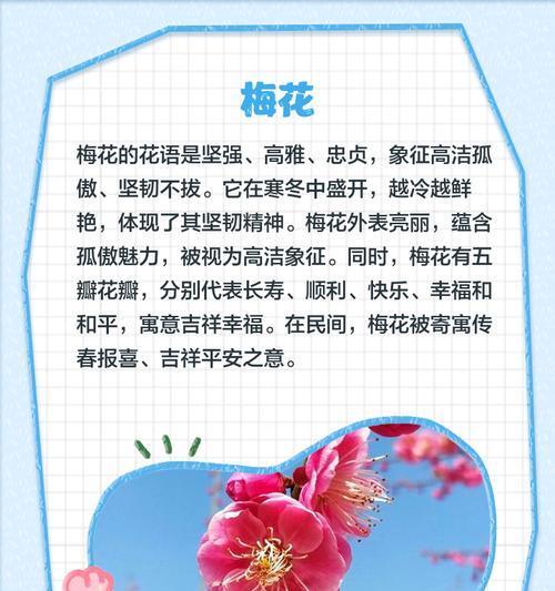 寓意清冷的颜色有哪些花？这些花的花语是什么？