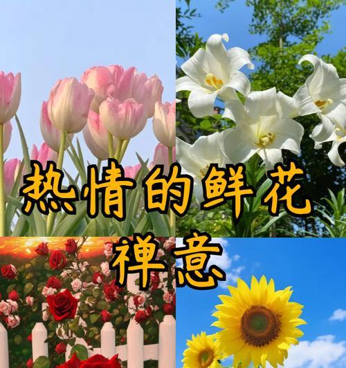 哪种花象征生活甜蜜？生活甜蜜的花有哪些？
