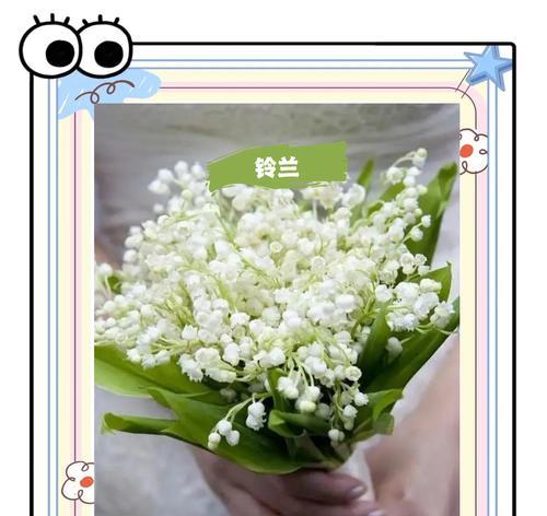 手捧花的绑带设计有何寓意？绑带手捧花的含义是什么？