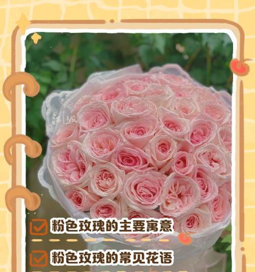 紫白色玫瑰花代表什么？紫白色玫瑰的花语是什么？