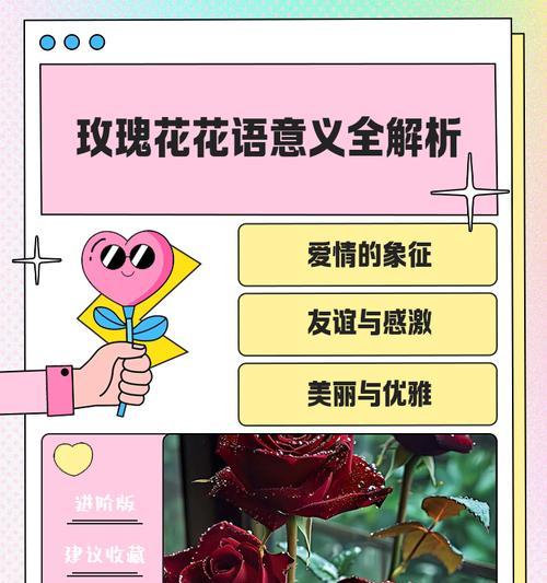 紫白色玫瑰花代表什么？紫白色玫瑰的花语是什么？