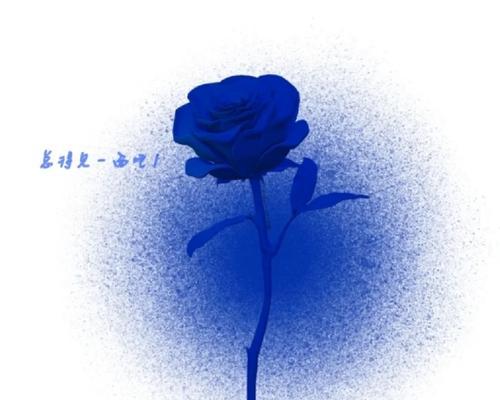 一束蓝色花的寓意和象征是什么？