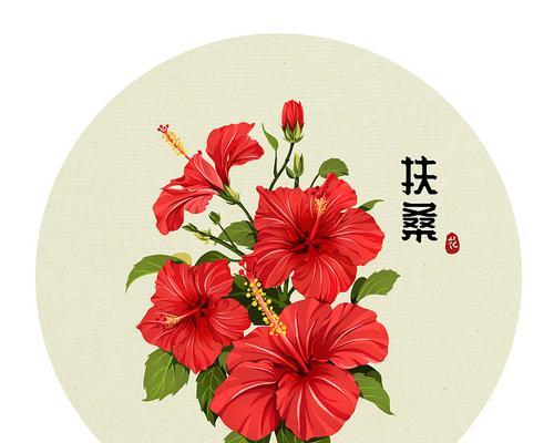 大红色扶桑花代表什么？