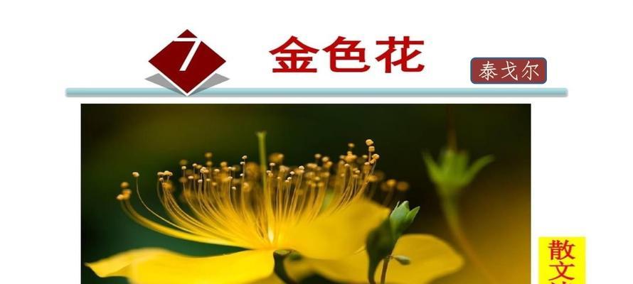 金色花在初一语文中象征着什么？