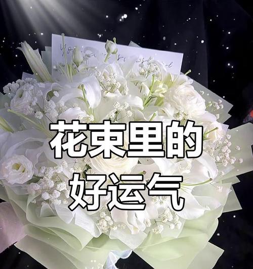 送姐姐什么花寓意健康？如何选择合适的花？