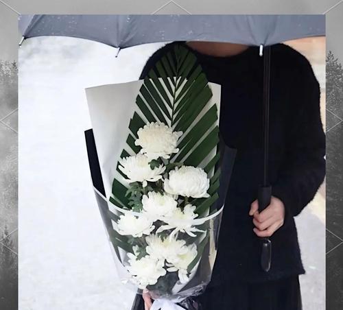 清明节收花有哪些特别的意义和象征？