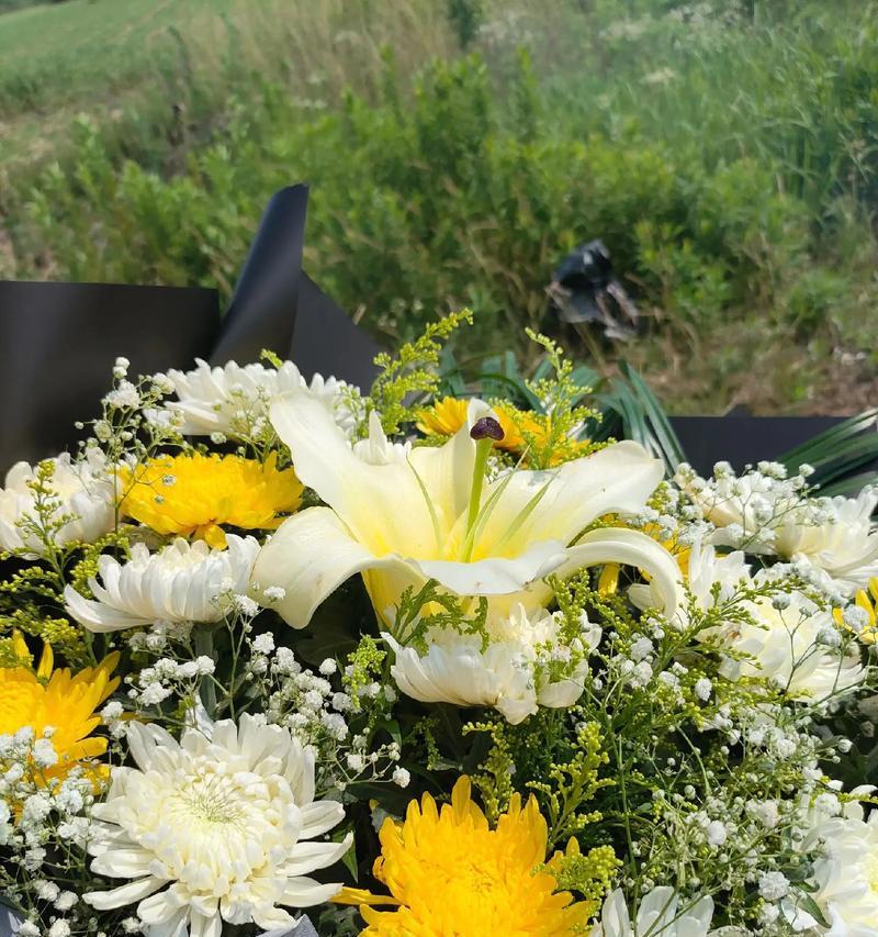 象征天堂的花是什么颜色？天堂花语有哪些？