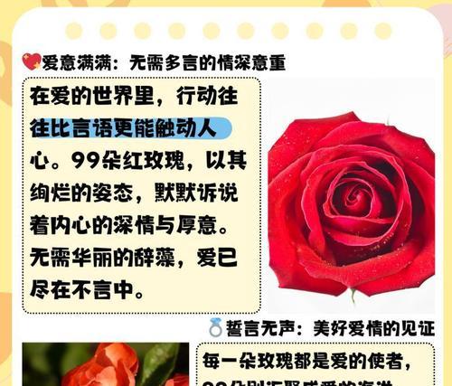 黑色玫瑰花的含义是什么？它代表了什么情感？