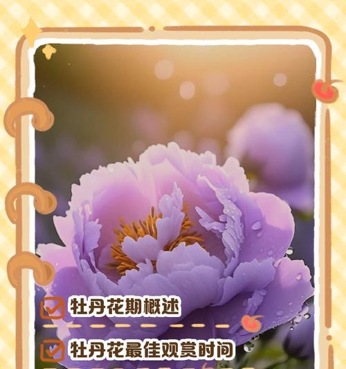 季节花有哪些寓意？季节花的寓意是什么？