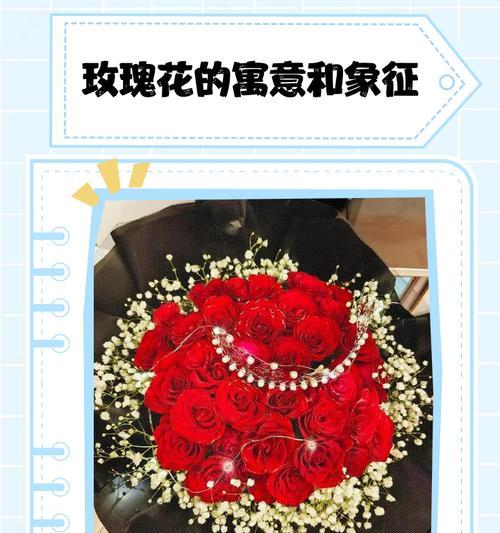 不同花代表的爱情寓意是什么？