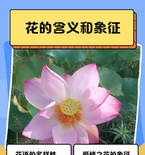 吉祥之花代表什么？它们的象征意义有哪些？