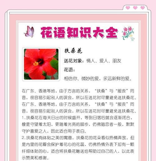 平安归来的花语是什么？哪种花寓意平安？