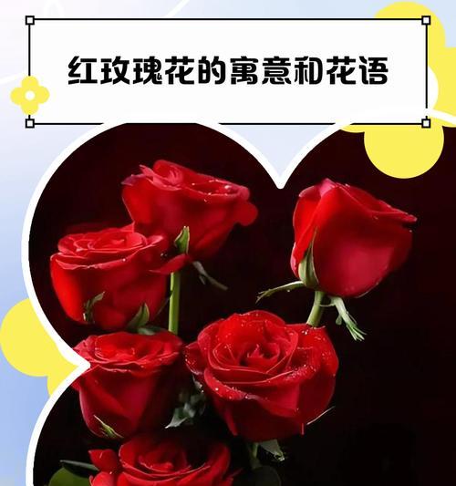 哪种花寓意纯爱的爱情？它们的花语是什么？