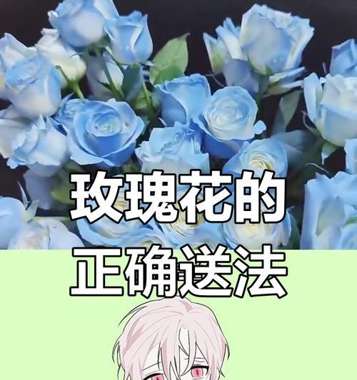 玫瑰花不同颜色的寓意是什么？如何根据颜色选择玫瑰花？