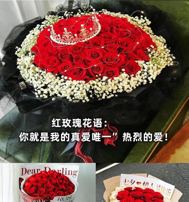 玫瑰花不同颜色的寓意是什么？如何根据颜色选择玫瑰花？