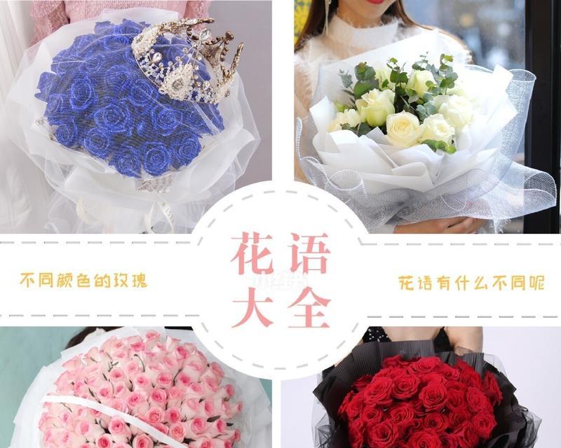 玫瑰花颜色的含义是什么？不同颜色玫瑰代表什么？